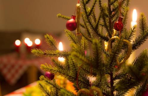 Spreewaldferienhaus - Foto 24