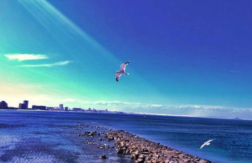 Casa Punta Serena - Foto 23