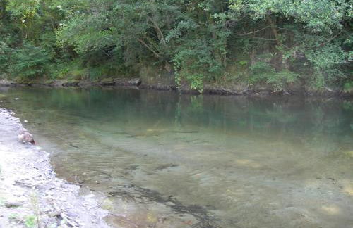 Appartement les rives de l’Ariège - Foto 35