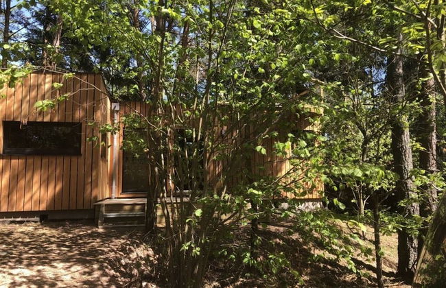 Holiday Home Under the Trees - Photo 17