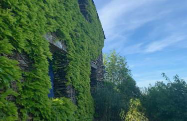 EL CUENTO DE LA ENCINA. Un espacio para sentir - Foto 4