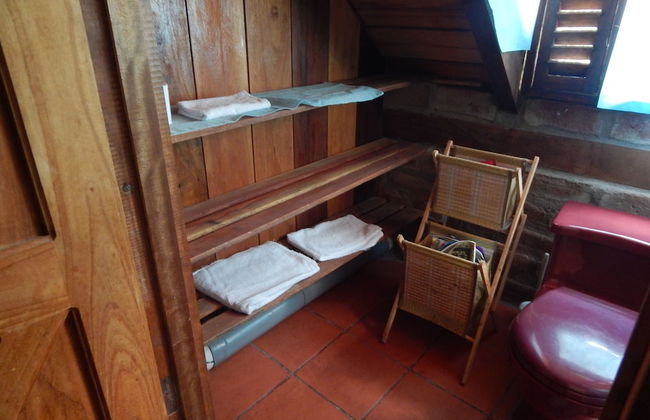 Dogs and Fish Dream Land - Foto 2