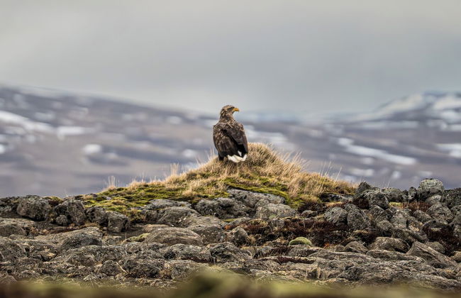 Mystic Light Lodge - Foto 12