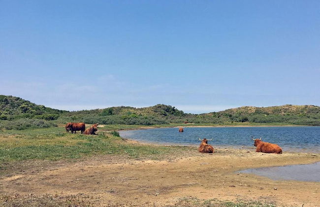 Sustainable Home Near the Golf Course - Foto 39