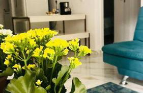 Apartamento no andar térreo - Foto 1