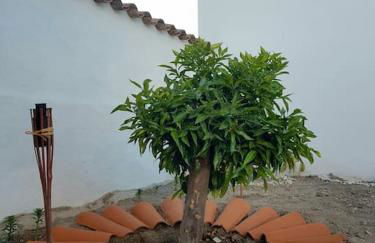 Casa da Enxota - Foto 27