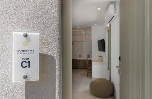 ANEMOLETHE - Foto 55