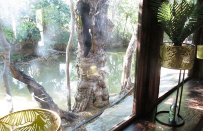 Bushmans Rock Country Lodge - Foto 37