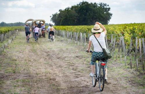 bel appartement en pierre de 88 M2 charme d’antan - Foto 24