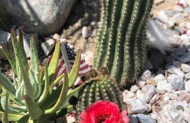 Mineral Saltwater Solar heated Pool & Spa Oasis with mountain views and Koi pond - Foto 71