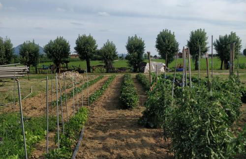 Agriturismo L'Albara - Wines, Pool & SPA - Foto 70