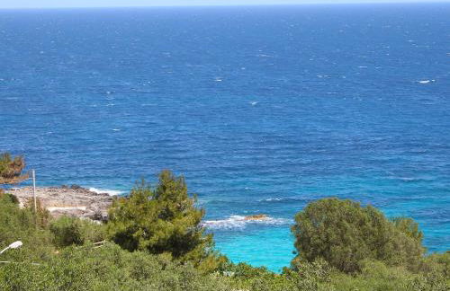 Apartment Cicala by Interhome - Foto 42