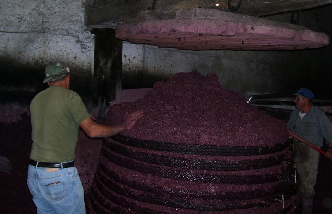 Etna Wine Agriturismo - Foto 24