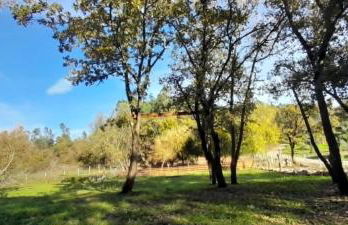 Quinta da Bolota Guest House - Foto 22