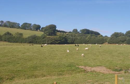 Cuckoo's Nest - Foto 14