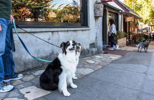 3987 Lovers Point Whitewater Cottage home - Foto 51