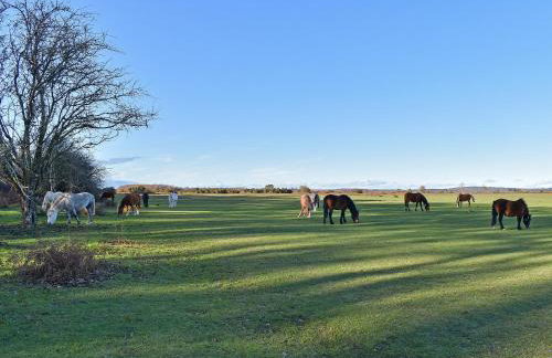 Wisteria Cottage - Foto 16