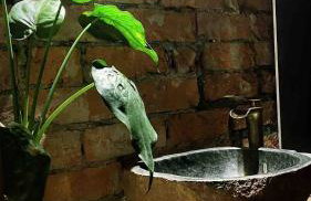 The Connaught Suite - Inc Private Hot Tub - Photo 22