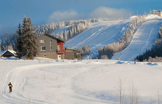 Holiday Club Himos Superior Apartments - Foto 23