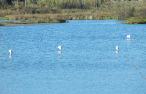 CASA VACANZE MARE - Foto 13
