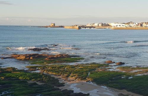 appartement cocon à Quiberon dans résidence calme, plages et centre ville à pied ou à vélo pour 2 à 4 personnes - Foto 18