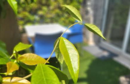 Residence Rosemary - Foto 13