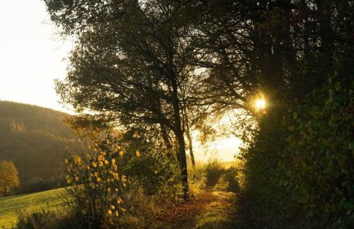 Holiday Home in Willingen-neerdar - Foto 36