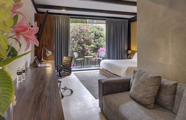 MX Grand Suites - Foto 14