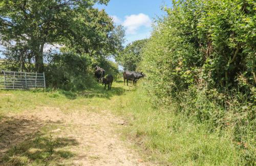 Lower West Curry Farmhouse - Foto 21