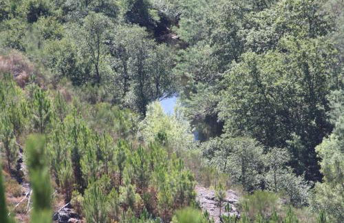 Retiro Da Arminda - Foto 72