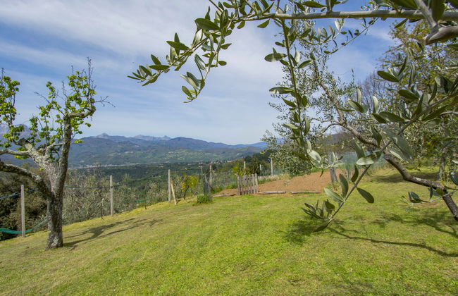 delle Stelle - Foto 24