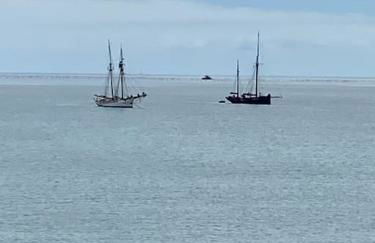 Charlestown Cottage Harbour & Beach short walk! - Foto 53