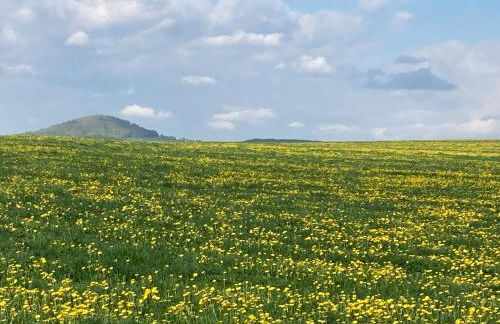 Erzgebirgshaus Zirbenliebe - Foto 41