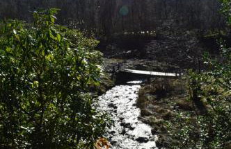 MacDonald Cabins - Foto 12