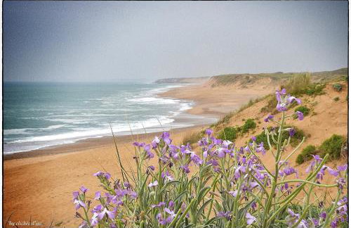 La Petite Marine a 150m de la plage - Foto 21