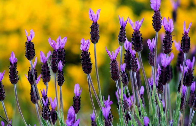 Visita a una bodega de miel - Foto 3