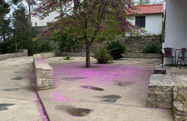 Raxes Kastanies Studio # 14 - Foto 6