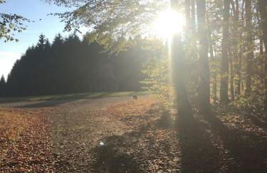 SauerlandBlick Ferienwohnung - Foto 17