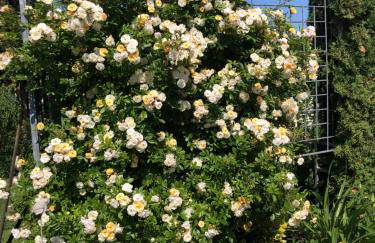 Fulda West Monteur Ferienwohnung wohnen auf Zeit - Foto 14