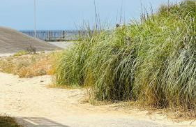 Appartement 2 à 4 personnes à 50m de la plage - Foto 11