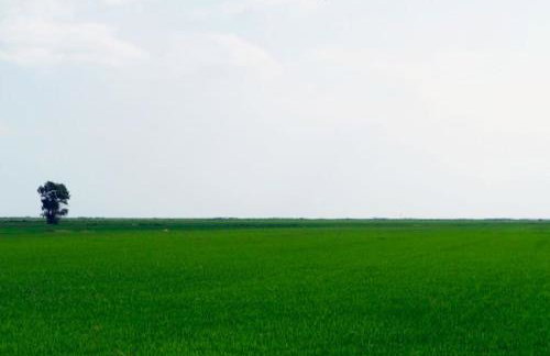 Casa Lorena - Foto 16