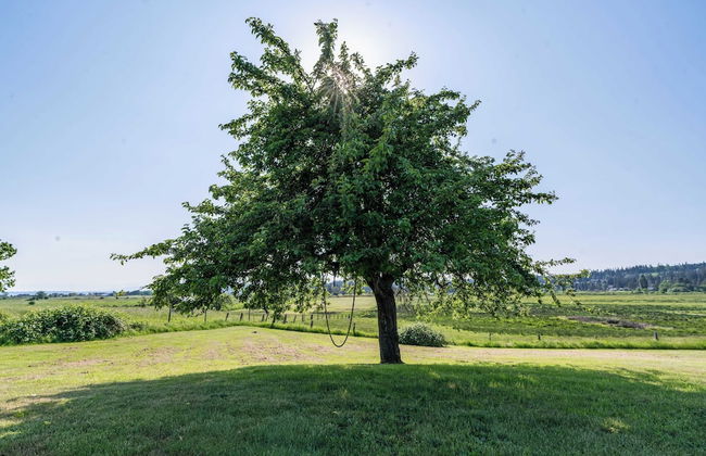 Bayview Together Farm by Avantstay A+ Location - Photo 26