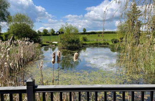 Lily pad Lodge - Foto 10