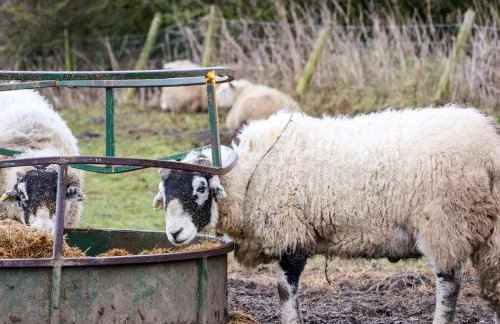 The Homestead - Foto 29