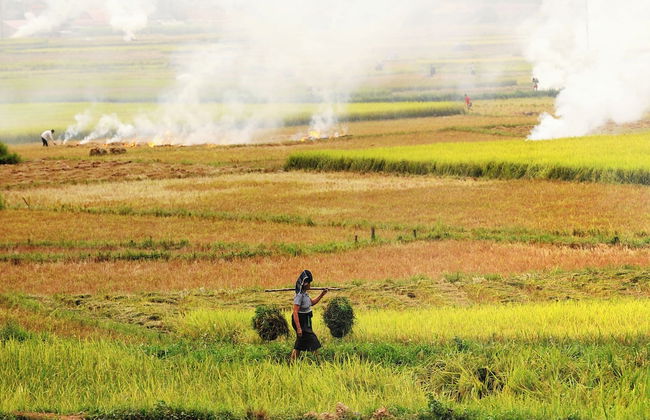 Thai House Pu Luong - Foto 68