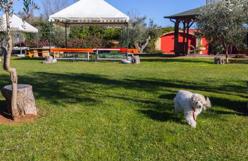 Villa Vacanze Paradiso - Oasi di Tranquillità con Piscina e Giardino a 10 min dal mare - Foto 46