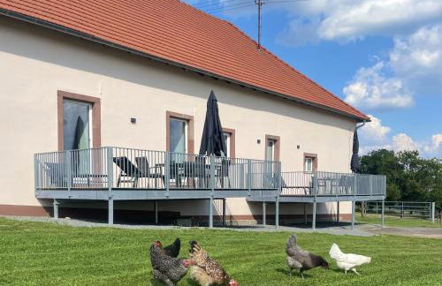 Ferienwohnungen - Gutshof Dürrhof - Foto 53