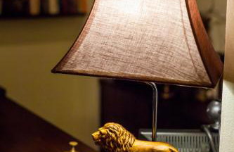 Lions Nine - Foto 29