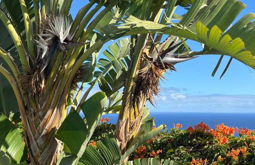 Finca Los Tomillos - Foto 13