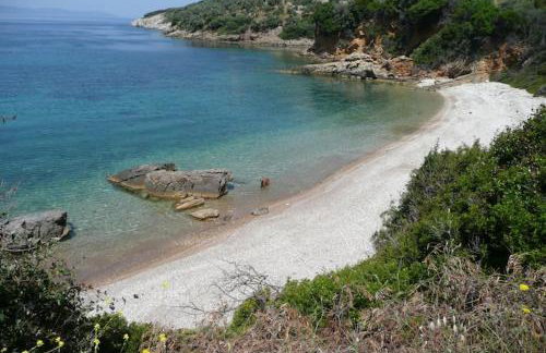 Magnolia Apartment - Foto 9